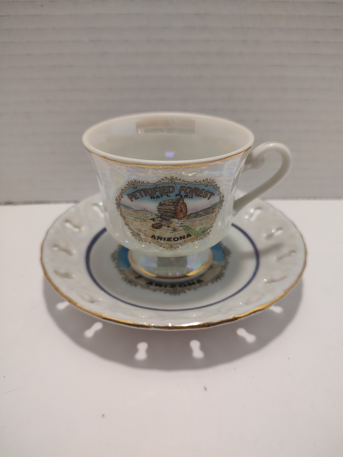 🔥 Vintage Petrified Forest Nat’l Park Souvenir Teacup & Saucer Pearlescent