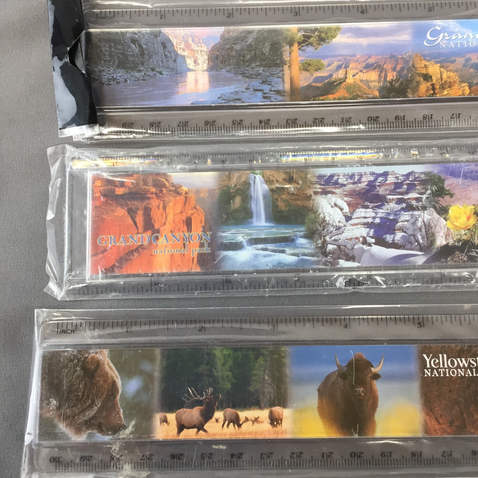 Lot of 6 NEW Souvenir Rulers – Yellowstone, Grand Canyon & N. American Wildlife