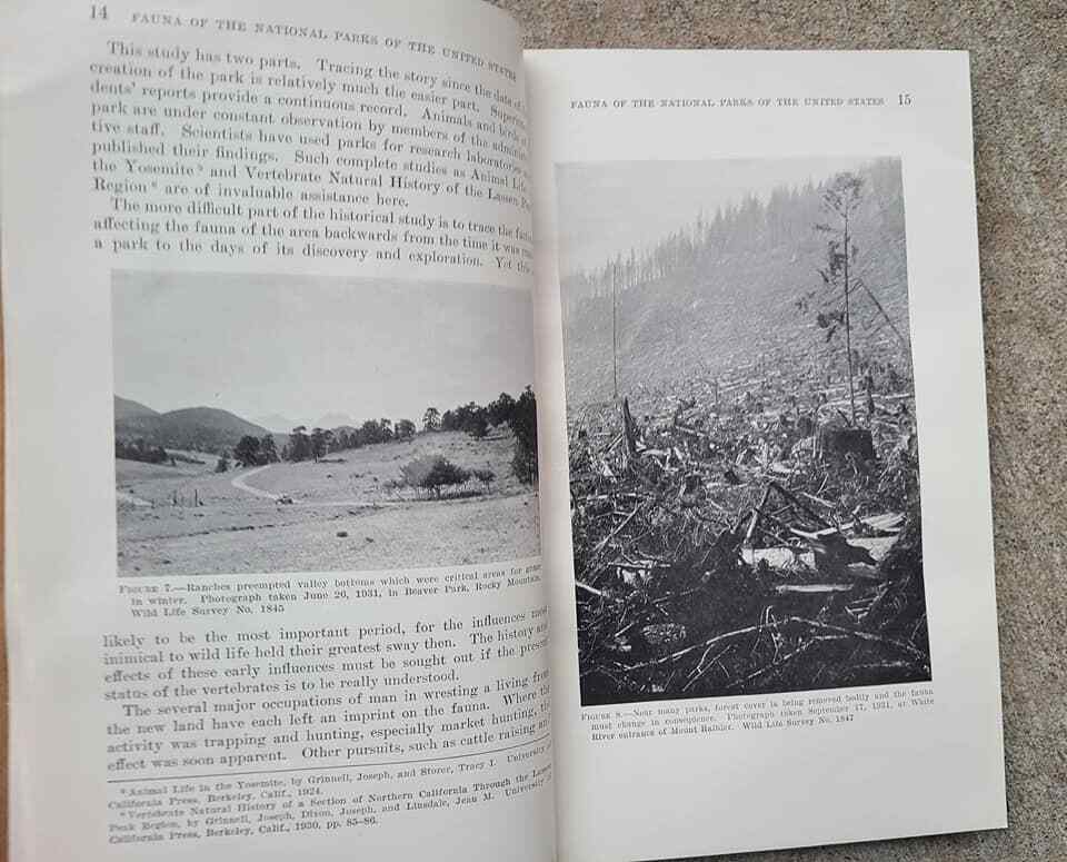 Fauna of the National Parks of the United States (1933) VINTAGE RARE Park Book
