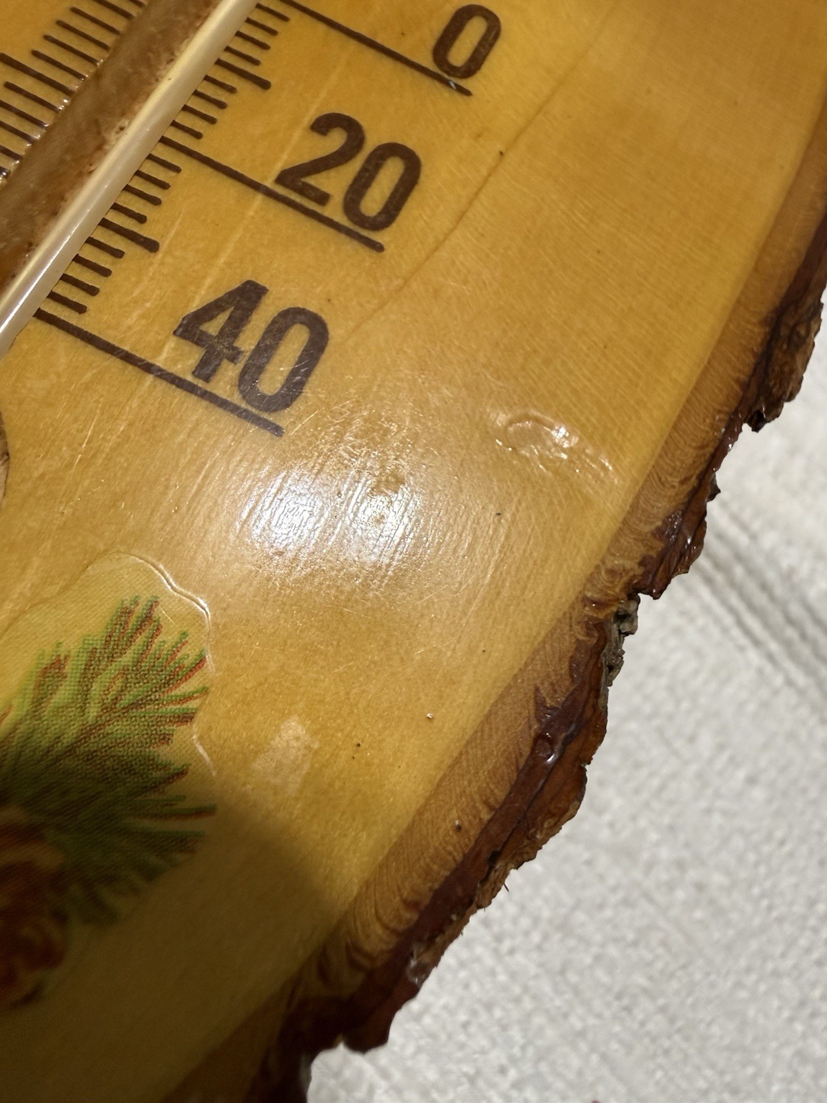 Vtg. “GREAT SMOKY MOUNTAINS” 11.75” Collector Wood Slice Wall Thermometer