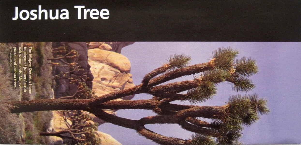 Joshua Tree National Park National Park Service California Unigrid Brochure Map