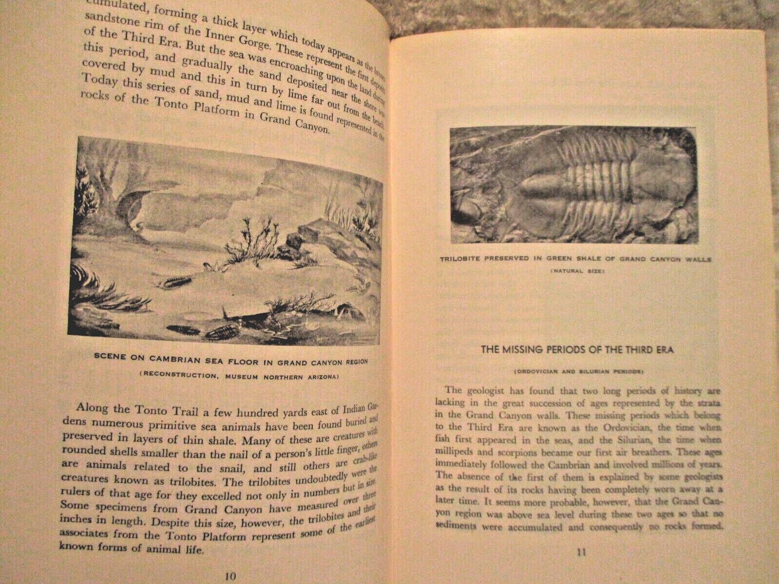 Ancient Landscapes of the Grand Canyon Region~Edwin D. McKee~Booklet~1965