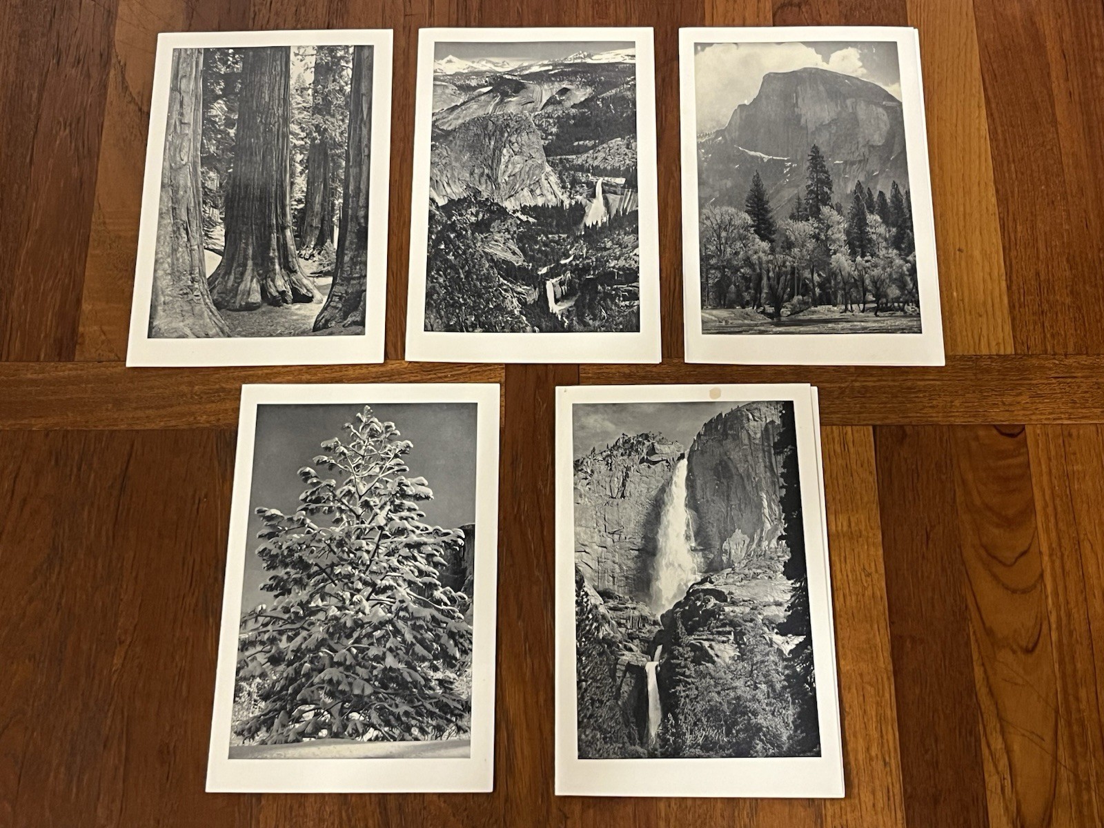 5 1955 YOSEMITE AHWAHNEE Hotel Menus Ansel Adams photo Covers original EX+