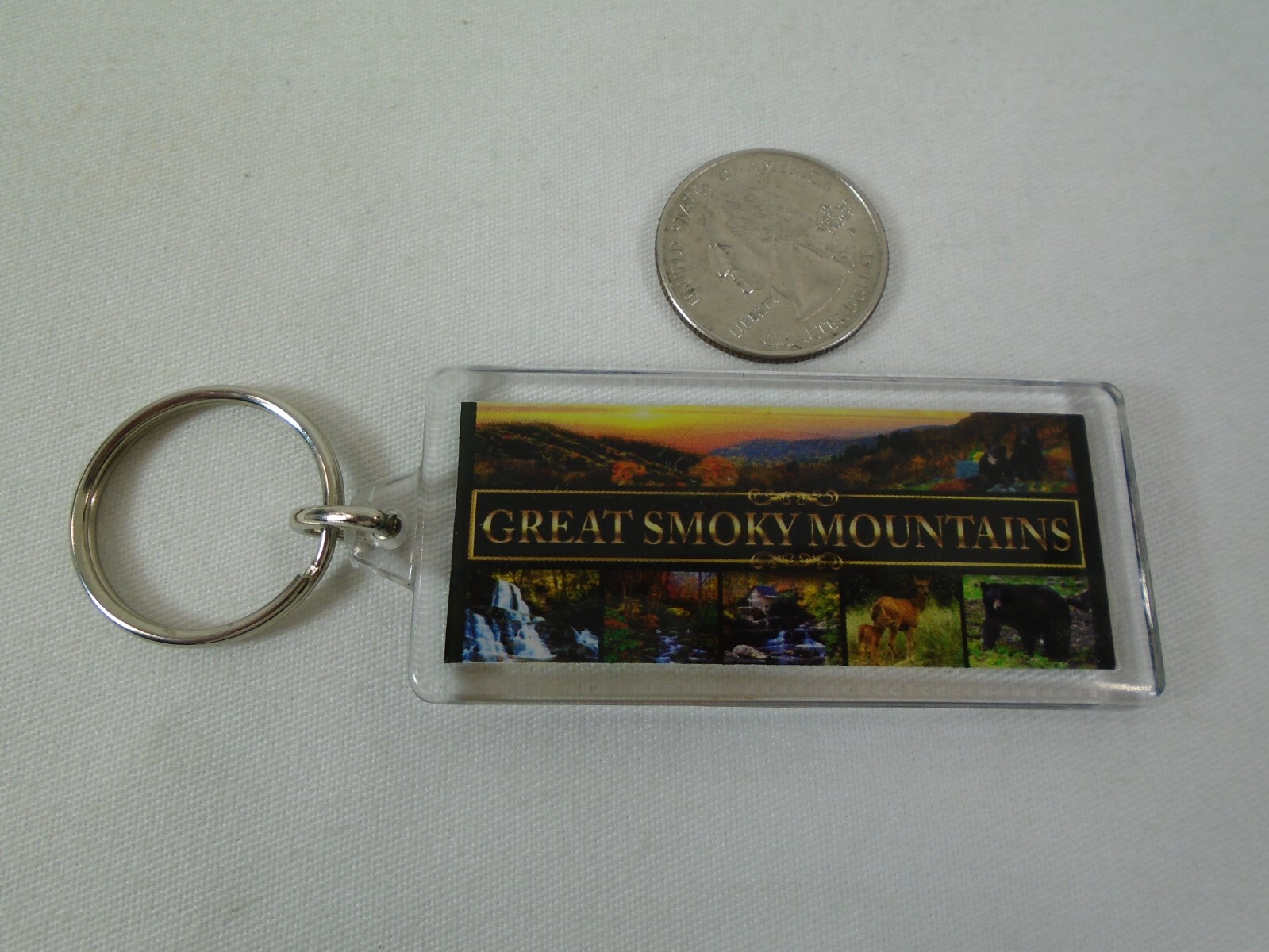Great Smoky Mountains Black Bear Keychain Souvenir Ring Fob National Park