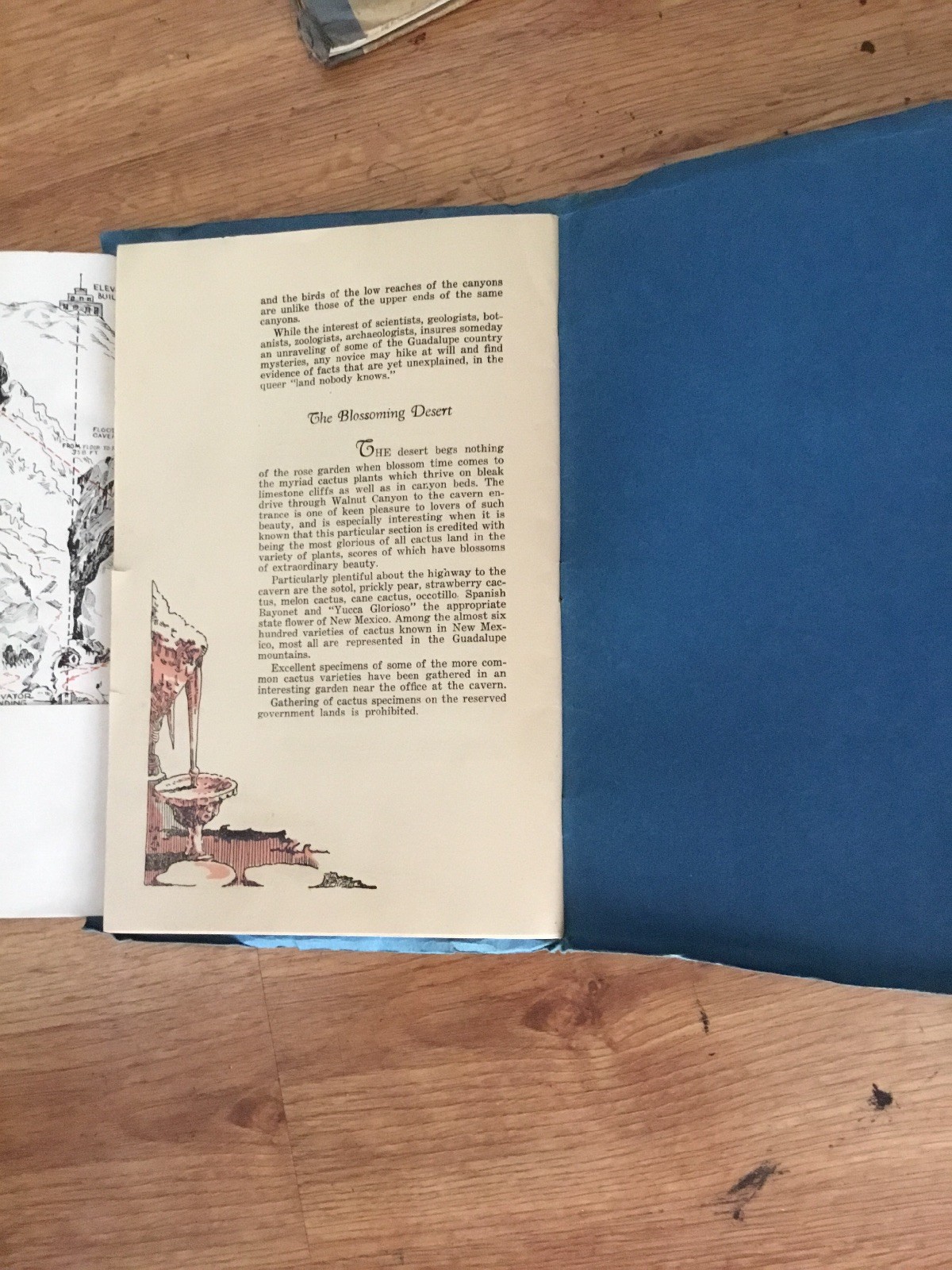 Vtg Carlsbad Cavern of New Mexico Its History Geology 9th Edition 1928