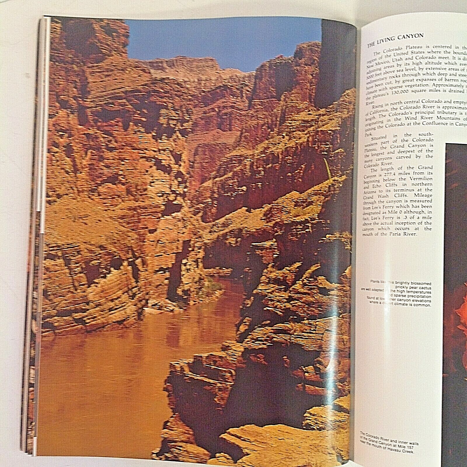 Vintage 1977 Color National Parkways Photo Guide to Grand Canyon National Park