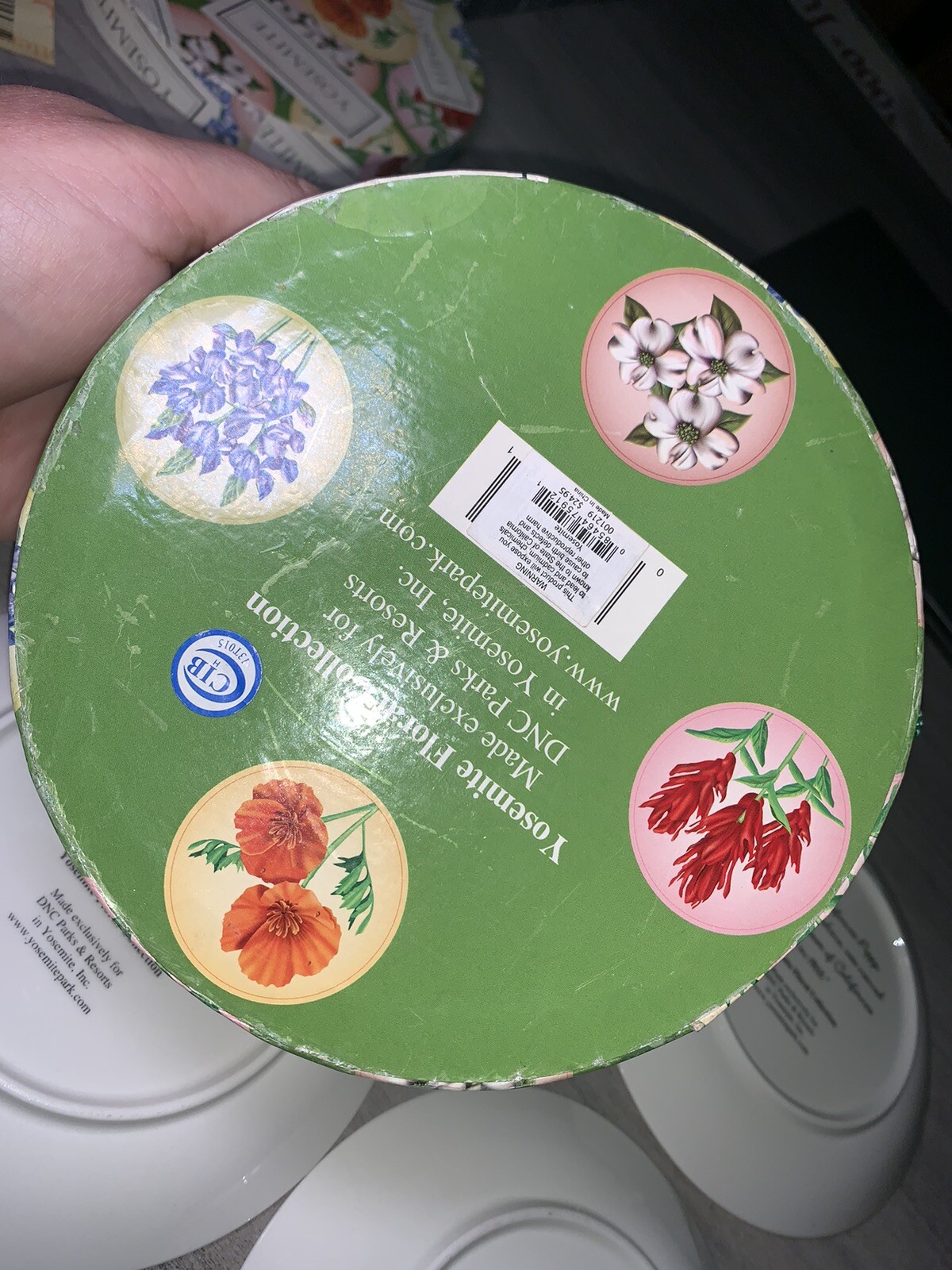 YOSEMITE FLORAL DESSERT PLATES: SET OF 4 YOSEMITE DNC PARKS AND RESORTS 6” NIB