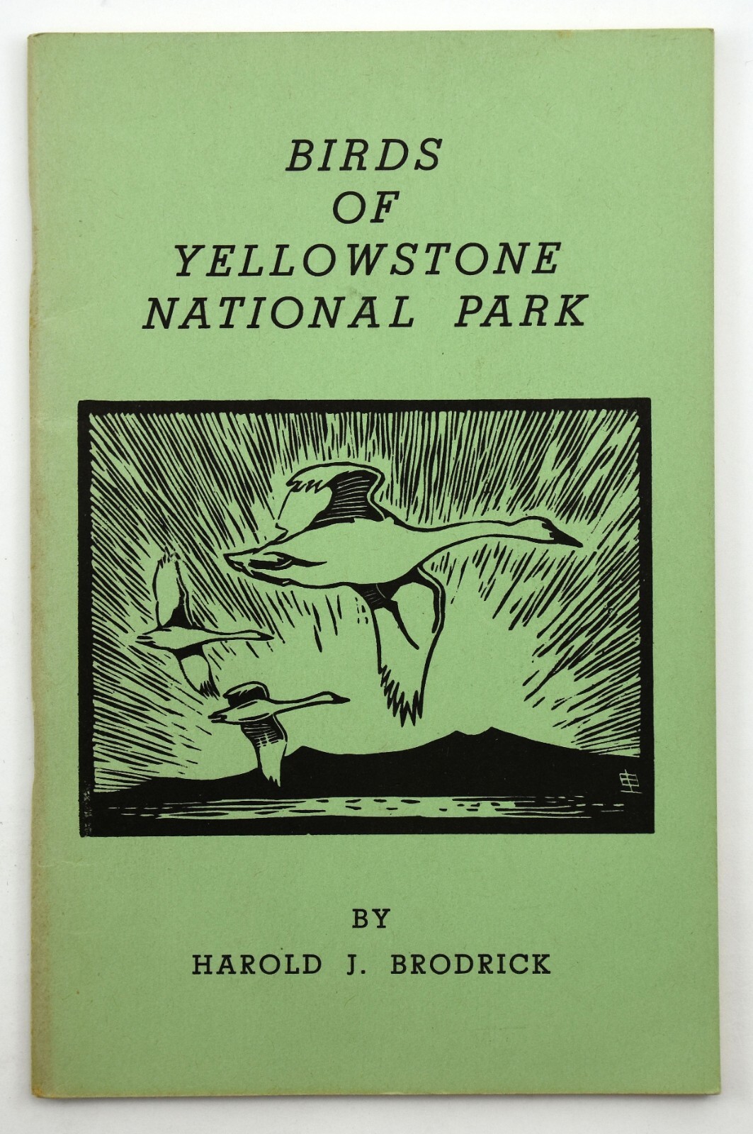 Birds of Yellowstone National Park by Harold J. Brodrick 1952 w/ Guide Map