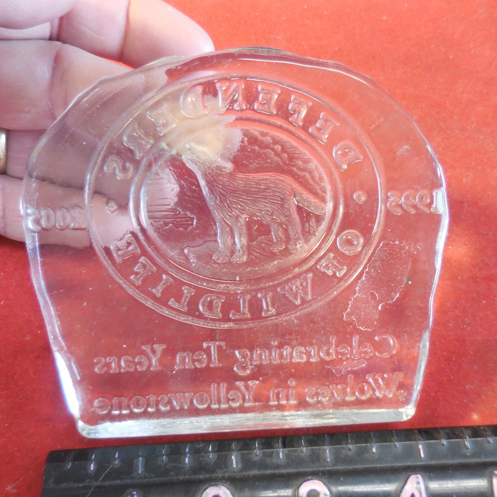 2005 Defenders of Wildlife 10 Years of Wolves in Yellowstone Glass Paperweight
