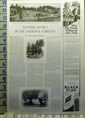 1920 CAMP NATIONAL FOREST HOME WASHINGTON SPORT OUTDOOR VINTAGE ART AD AZ46
