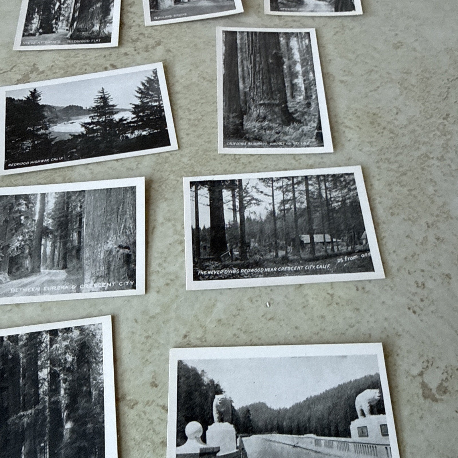 Souvenir Views Vtg picture 18 Mini Redwood Hwy CA