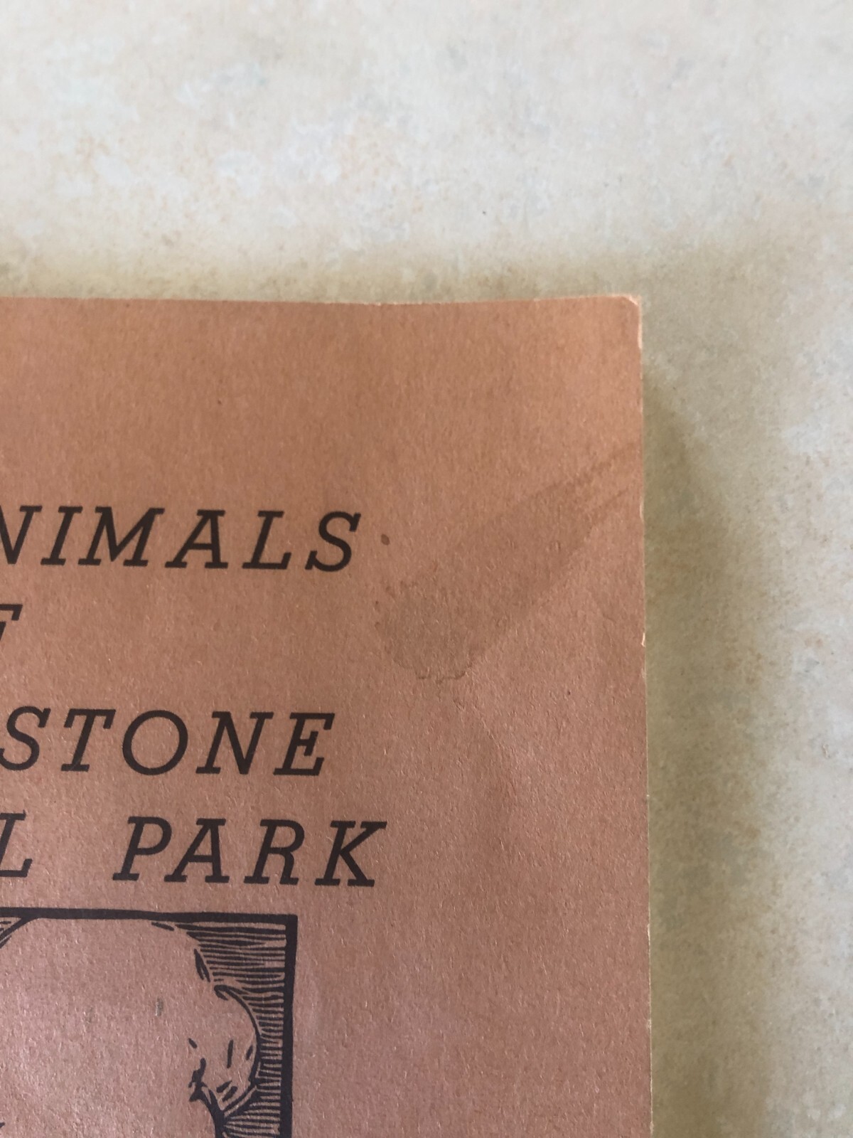 Wild Animals of Yellowstone National Park by Brodrick, Harold J. 1952
