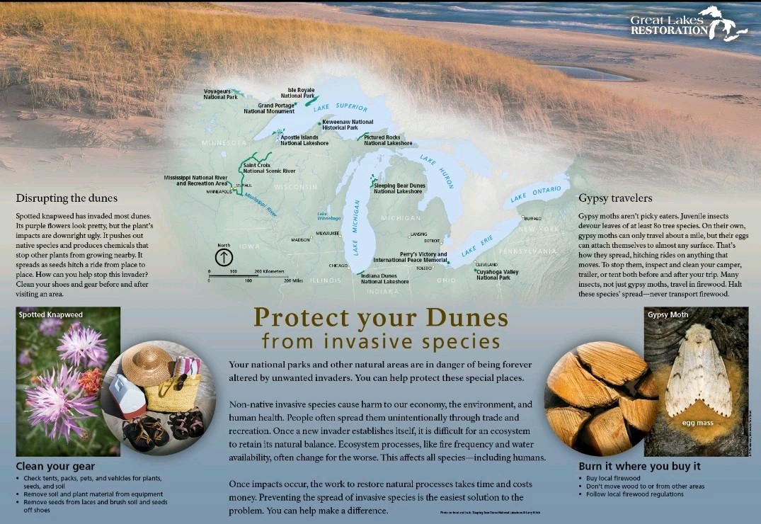 4 -Great Lakes National Park Service 24×18 2 Sided Posters Lakes Forest Dunes