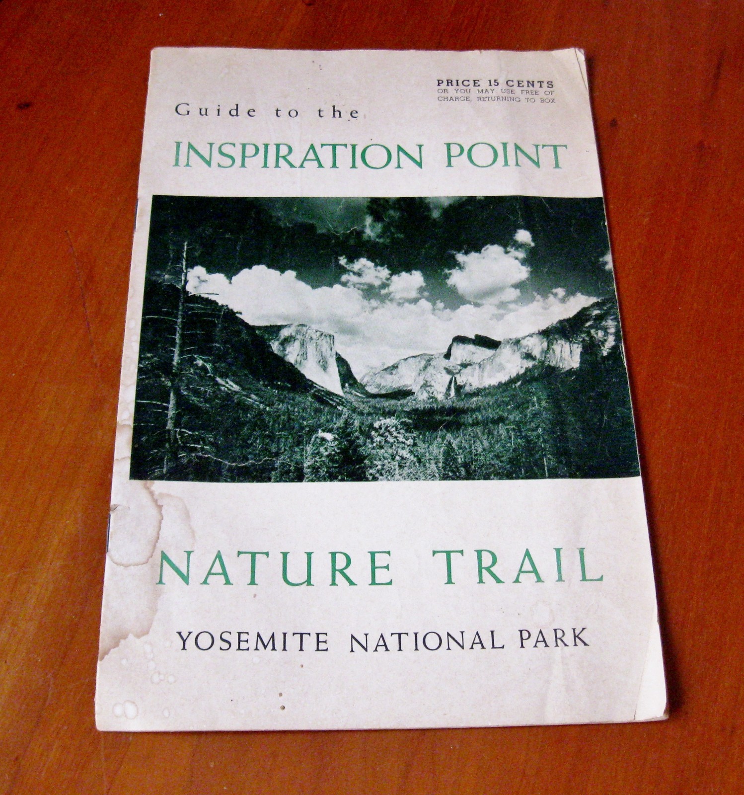 1950s Inspiration Point Yosemite National Park Wild Flowers of the Sierra USA