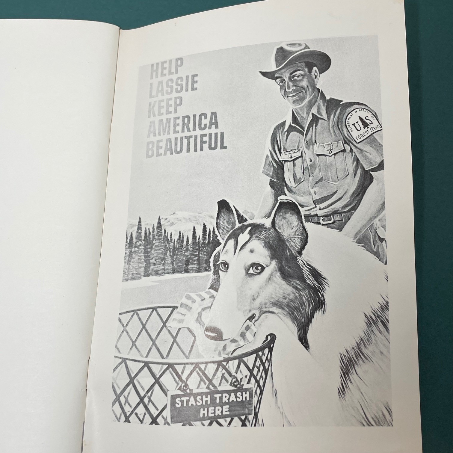 1968 National Forest Campground Directory Oregon & Washington Vintage