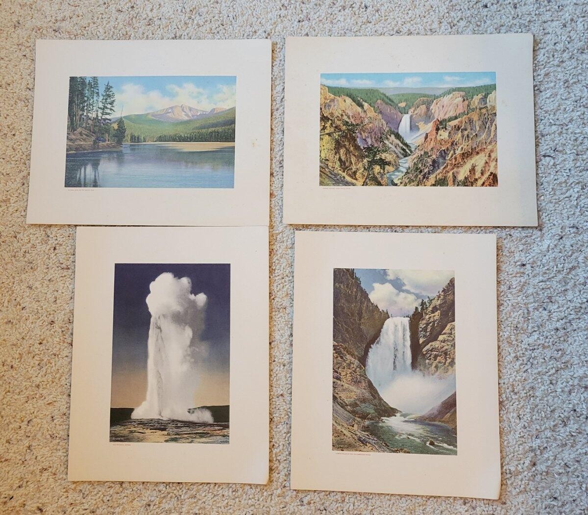 Vintage Yellowstone National Park Portfolio Set Haynes & Large Postcards