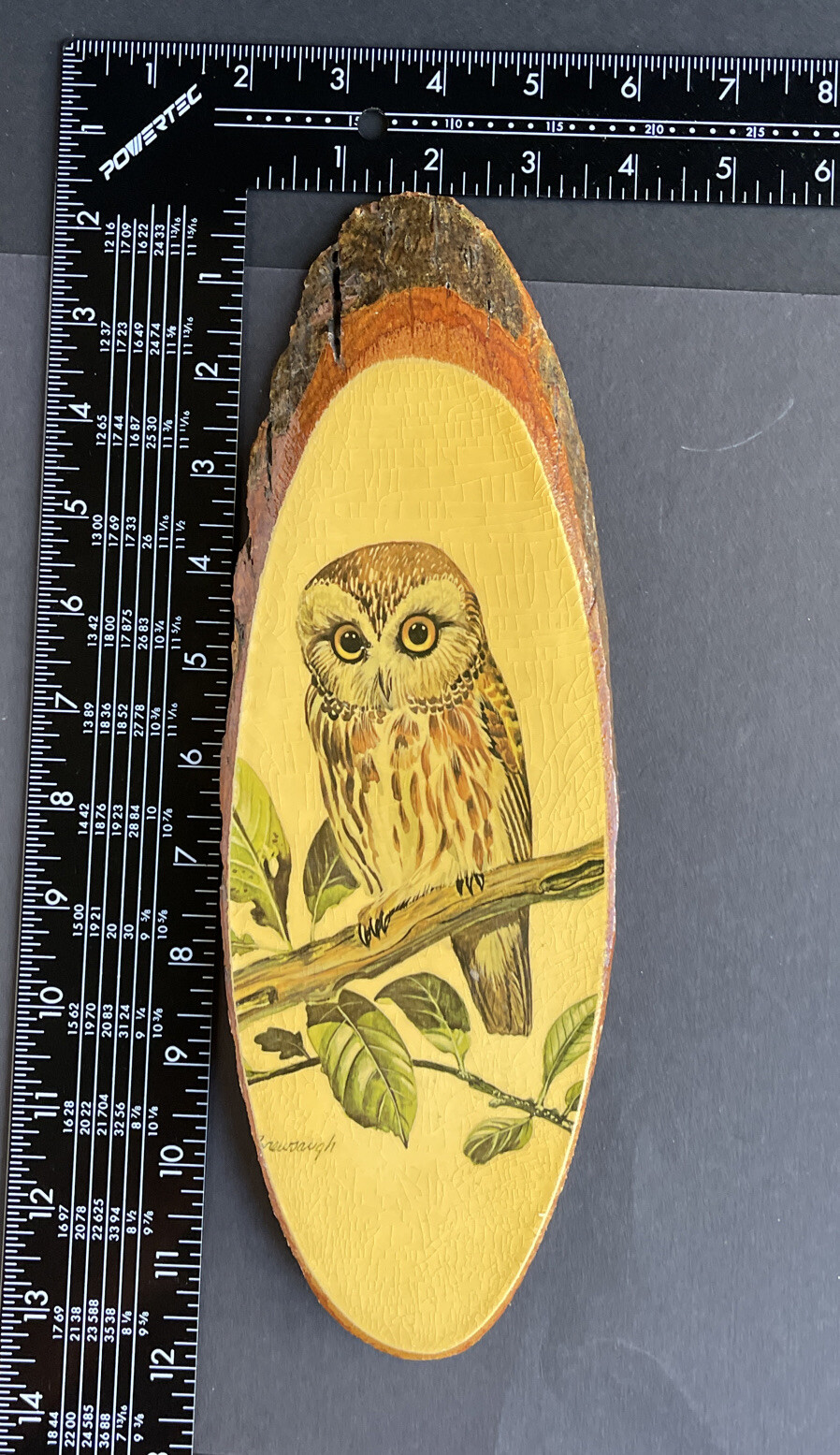 Wall Plaque Wood Slab “Owl” Souvenir Natural Wild Life “Missouri” Home Decor