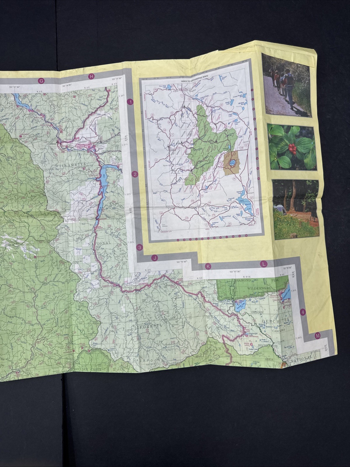 National Forest Map – Umpqua Oregon 1995 Recreation Guide