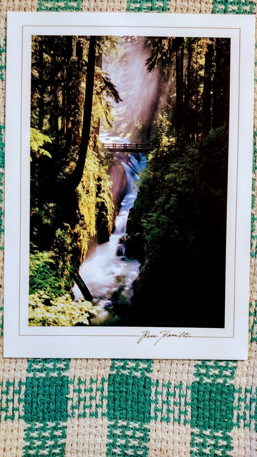 5 x 7 BEAUTIFUL POST CARD SOL DUC FALLS OLYMPIC NATIONAL PARK WA