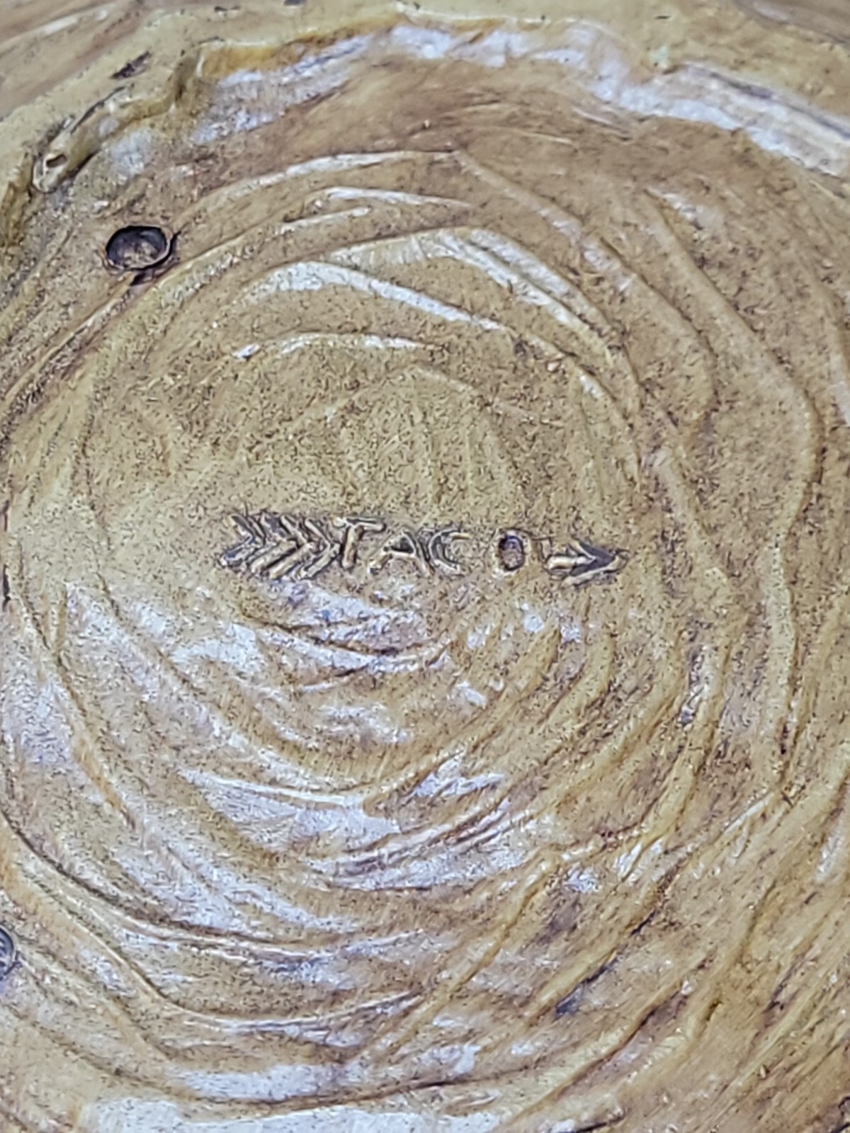 Vintage YELLOWSTONE National Park 3D Faux Wood Wall Hanging Souvenir Bowl TACO