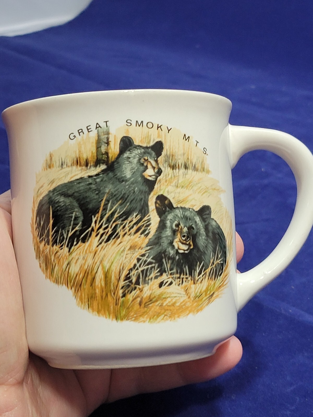 Vintage Great Smoky Mountains National Park Black Bears Coffee Mug Cup