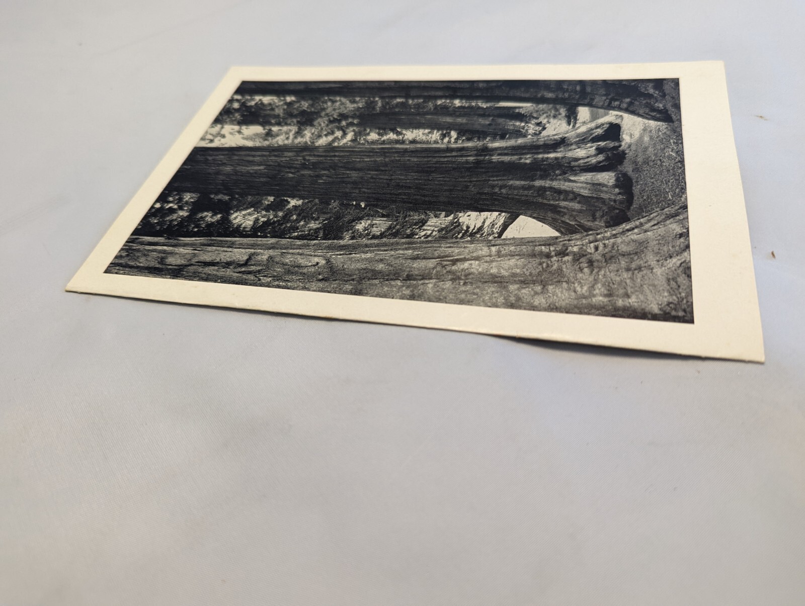 YOSEMITE AHWAHNEE MENU Jul 4 53 5.5×8.5″ Ansel Adams Mariposa Grove