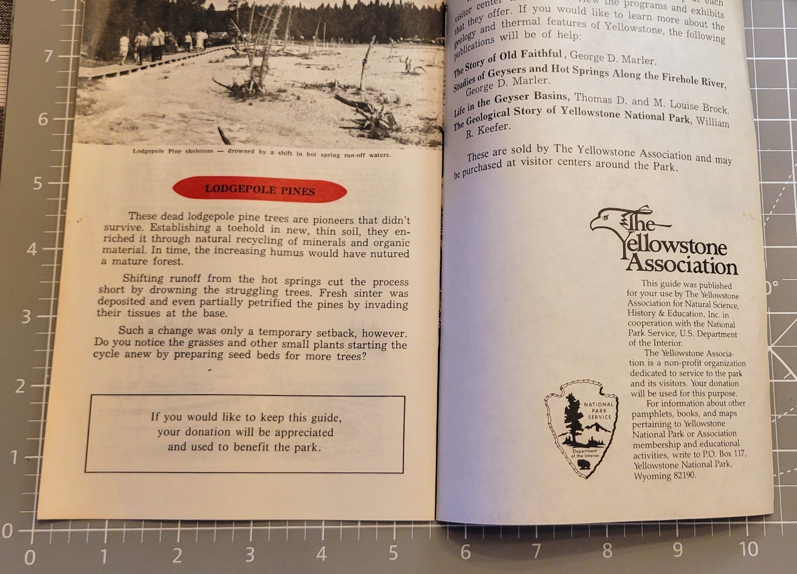 Vtg Bklt Fountain Paint Pot Nature Trail Yellowstone Nat’l Park 1983 Bill Chapma