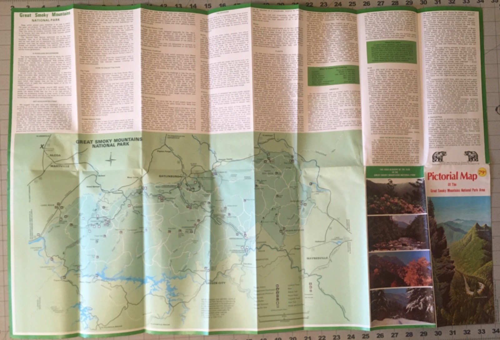 1980 Pictorial Map Great Smoky Mountains National Park NC TN