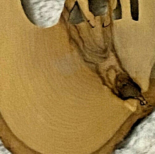 Yellowstone National Park Wooden Ornament Die Cut Moose Retro Souvenir Unique