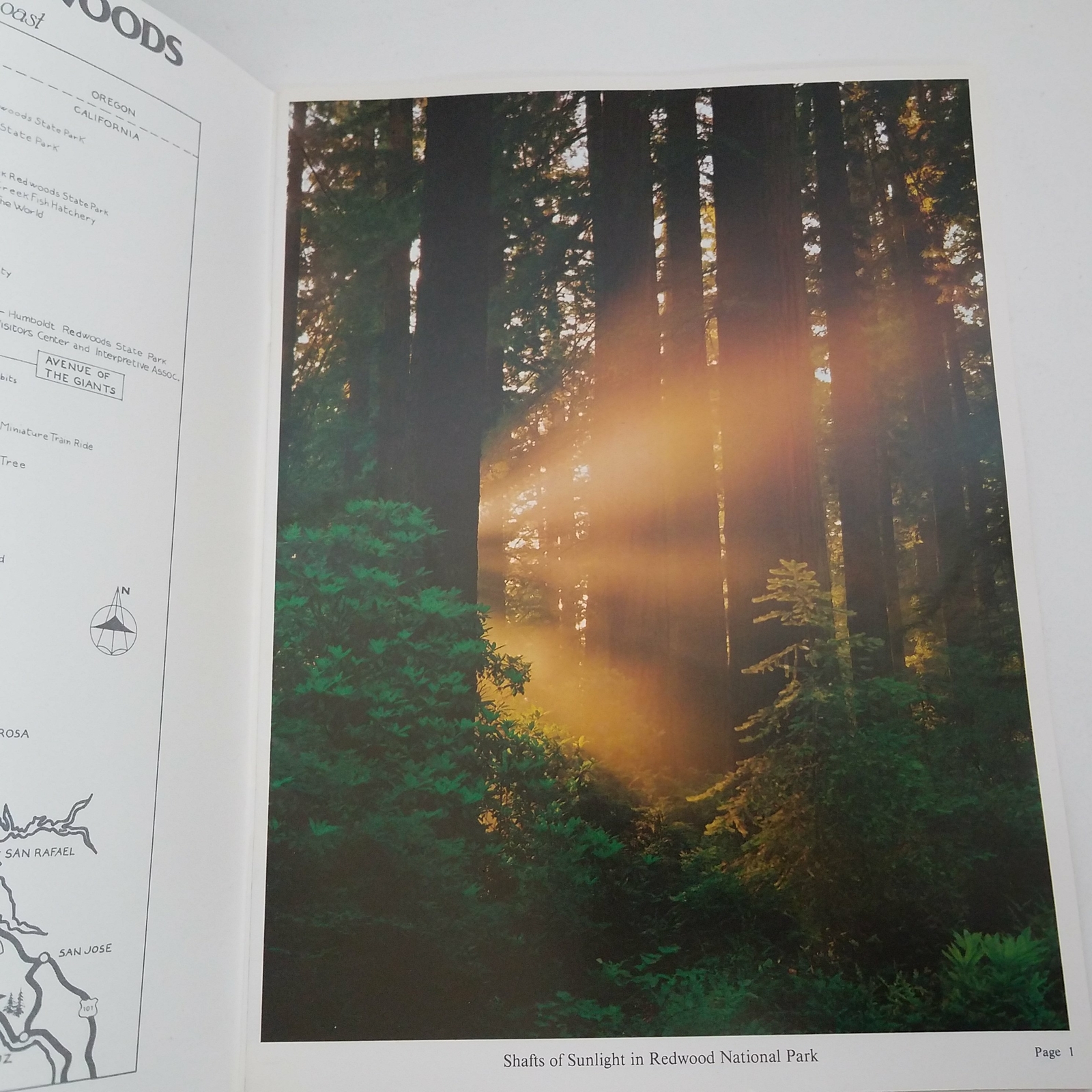 California Redwoods And The North Coast by Bob von Normann 1987 0915687003