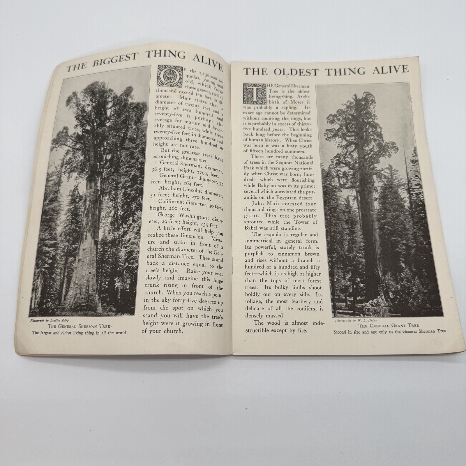 “SEQUOIA “The Big Tree National Park U S Dept of The Interior Booklet – 1916
