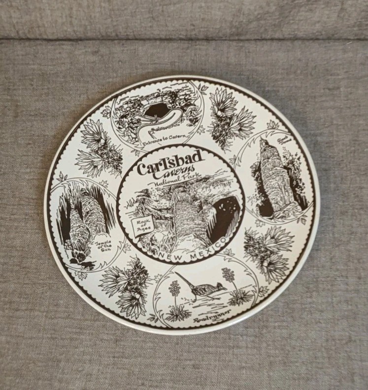 Enco Fine American Ironstone CARLSBAD CAVERNS NATIONAL PARK New Mexico 10″ PLATE