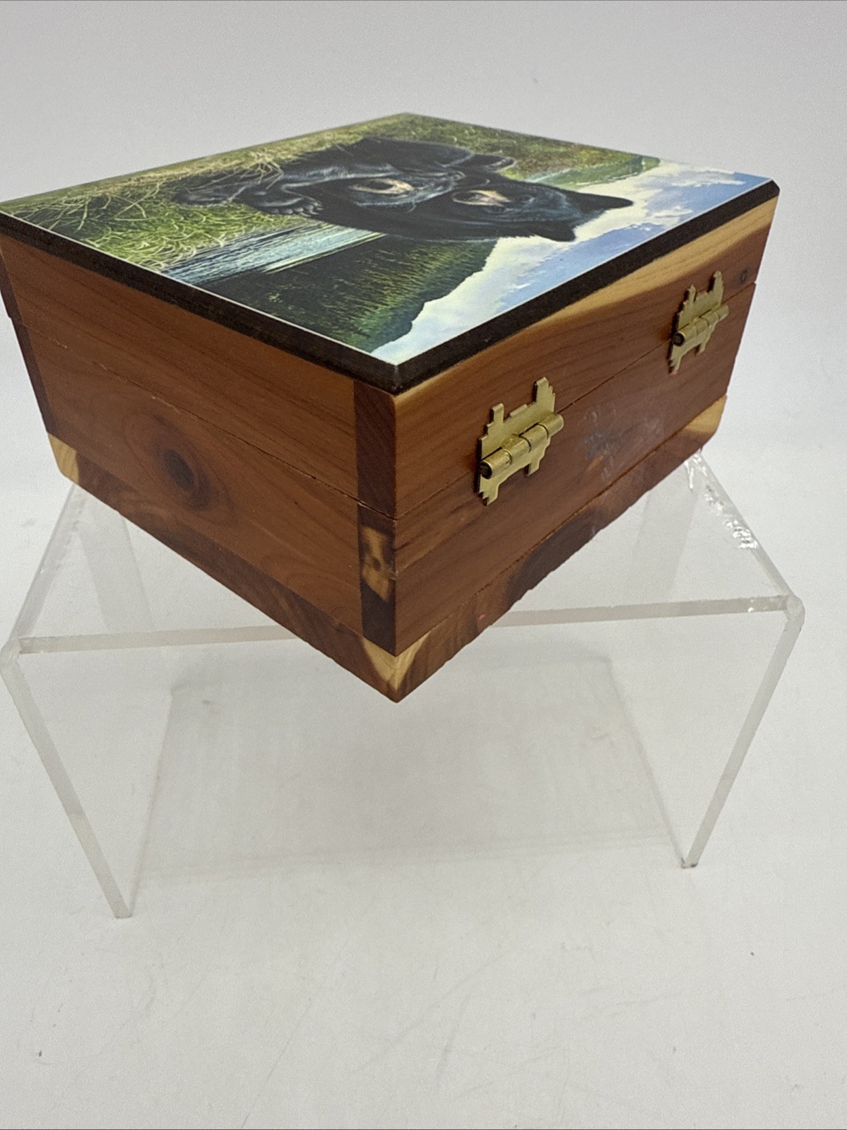 Vintage Shenandoah National Park Cedar Box Bear Theme Nature Wood Souvenir