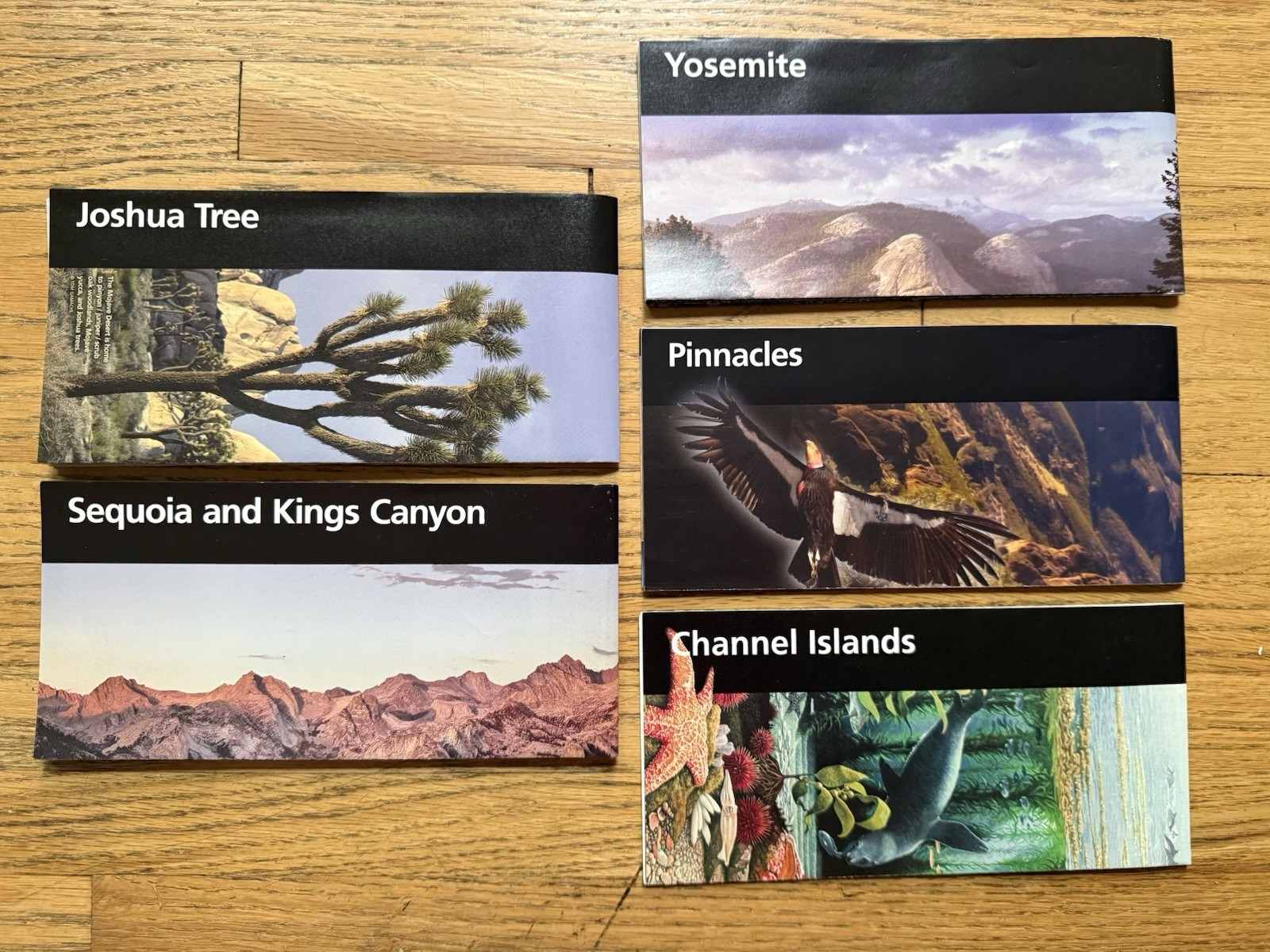 California National Parks 5 Unigrids Unigrid Yosemite Pinnacles Sequoia Brochure