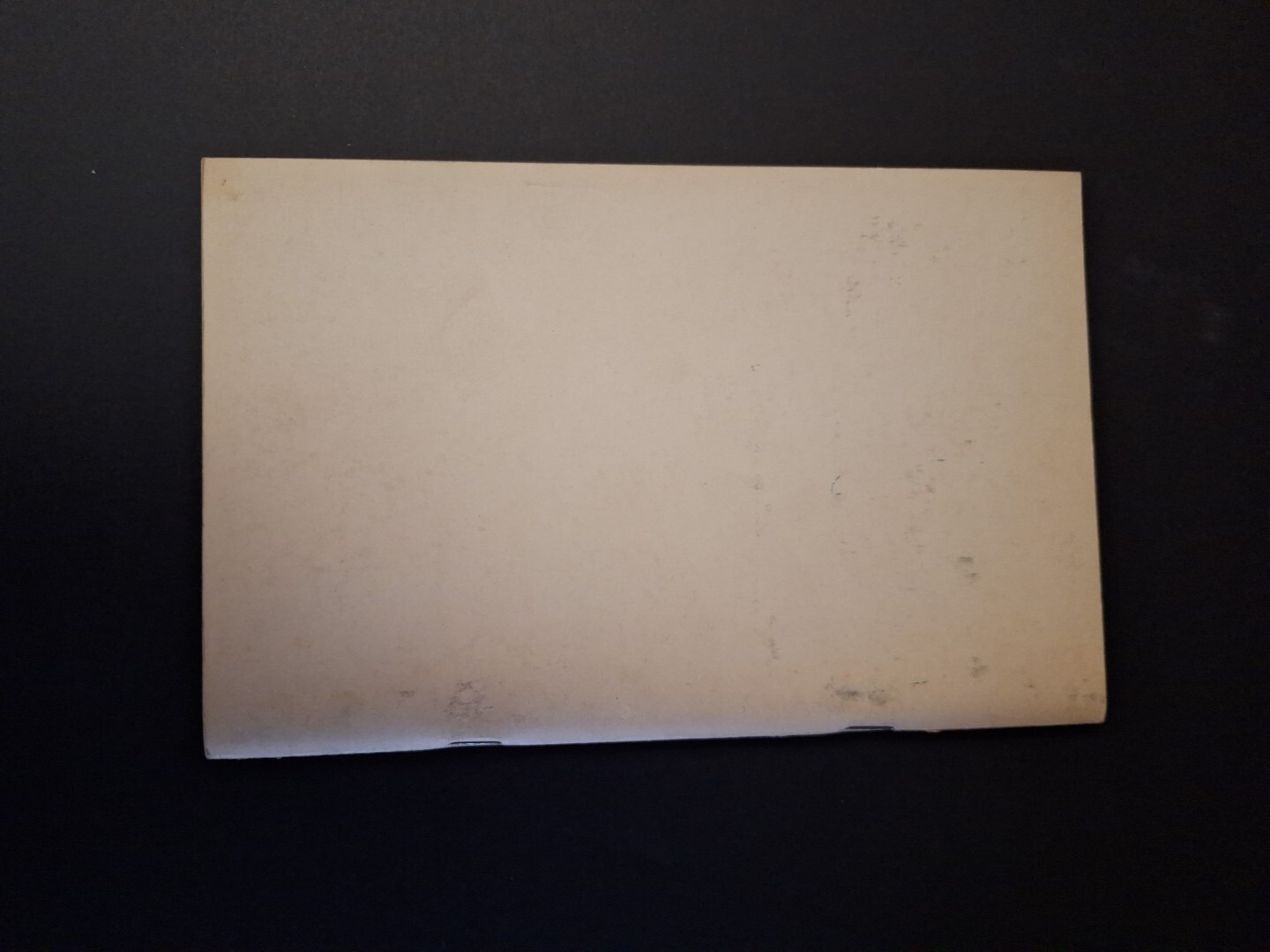 Vtg 1950s Behind the Scenery of Mount Rainier National Park Book Howard Stagner
