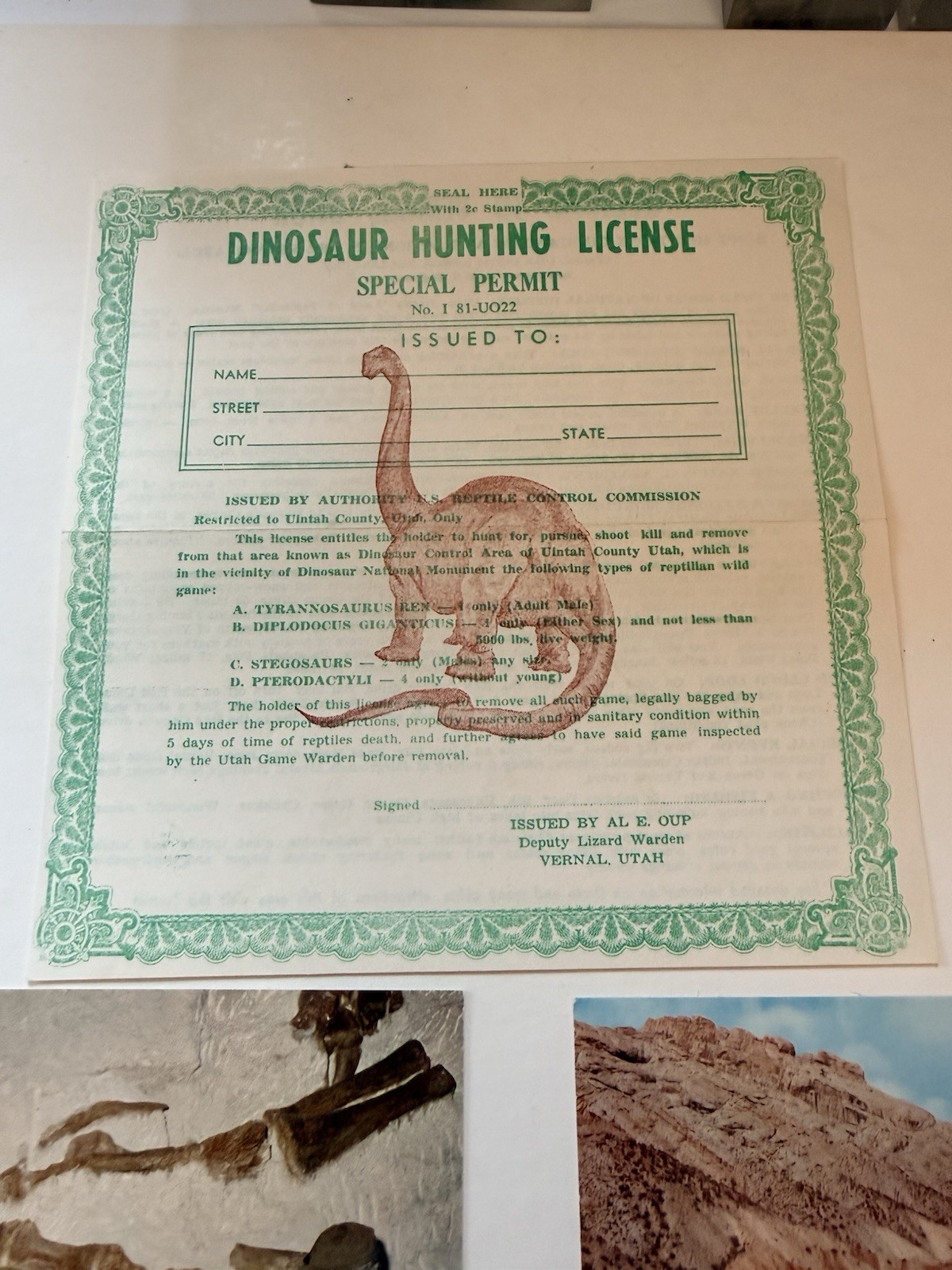 Vintage 1955 Dinosaur National Monument Postcards Brochure Map License Lot