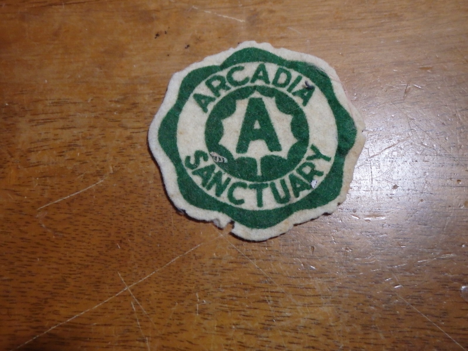 ARCADIA SANCTUARY MAINE ARCADIA NATIONAL PARK HIKING 1940 PATCH BX D#1