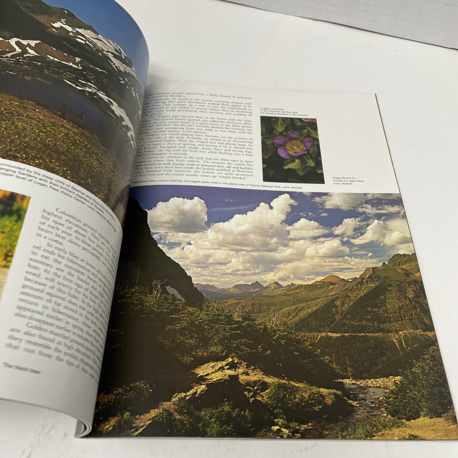 Vintage Travel Guide – National Parkwasy Glacier & Waterton Lakes 1974