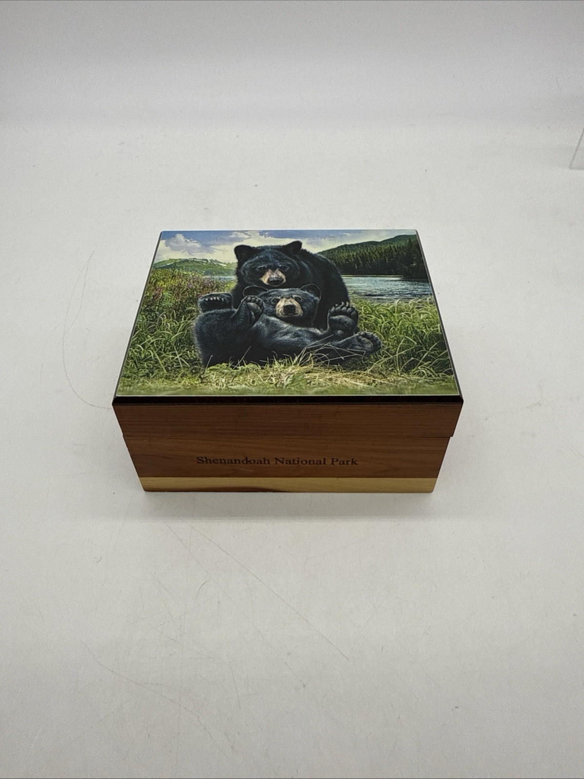 Vintage Shenandoah National Park Cedar Box Bear Theme Nature Wood Souvenir
