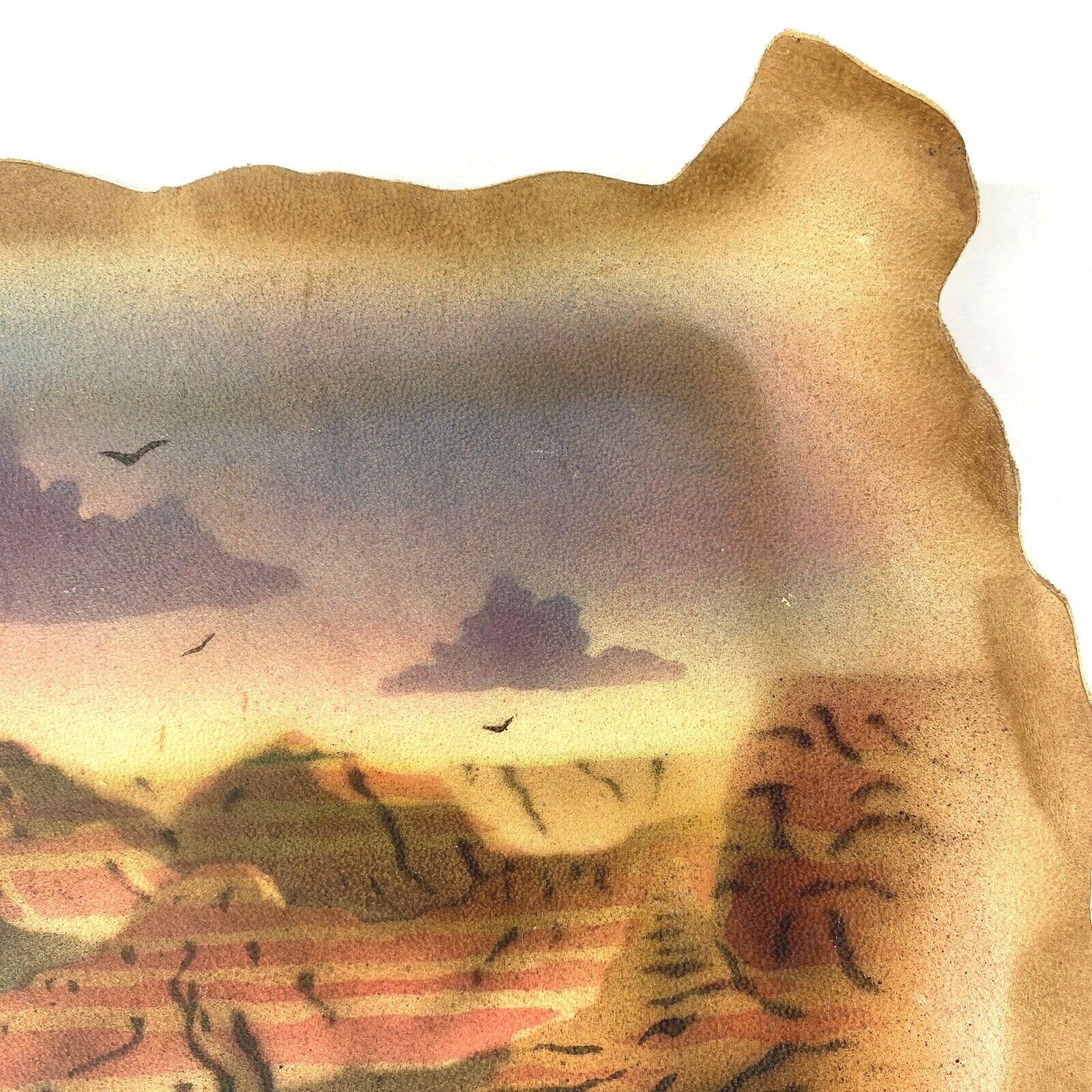 Vintage Grand Canyon Afternoon Southwestern Airbrushed 1990 Sheepskin Wall Decor