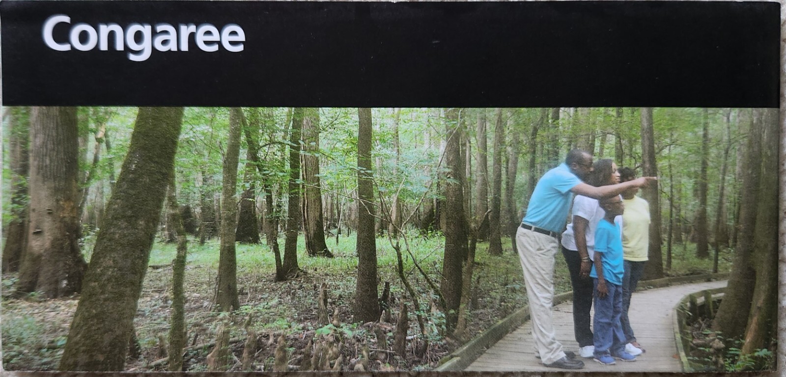 Congaree National Park Brochure
