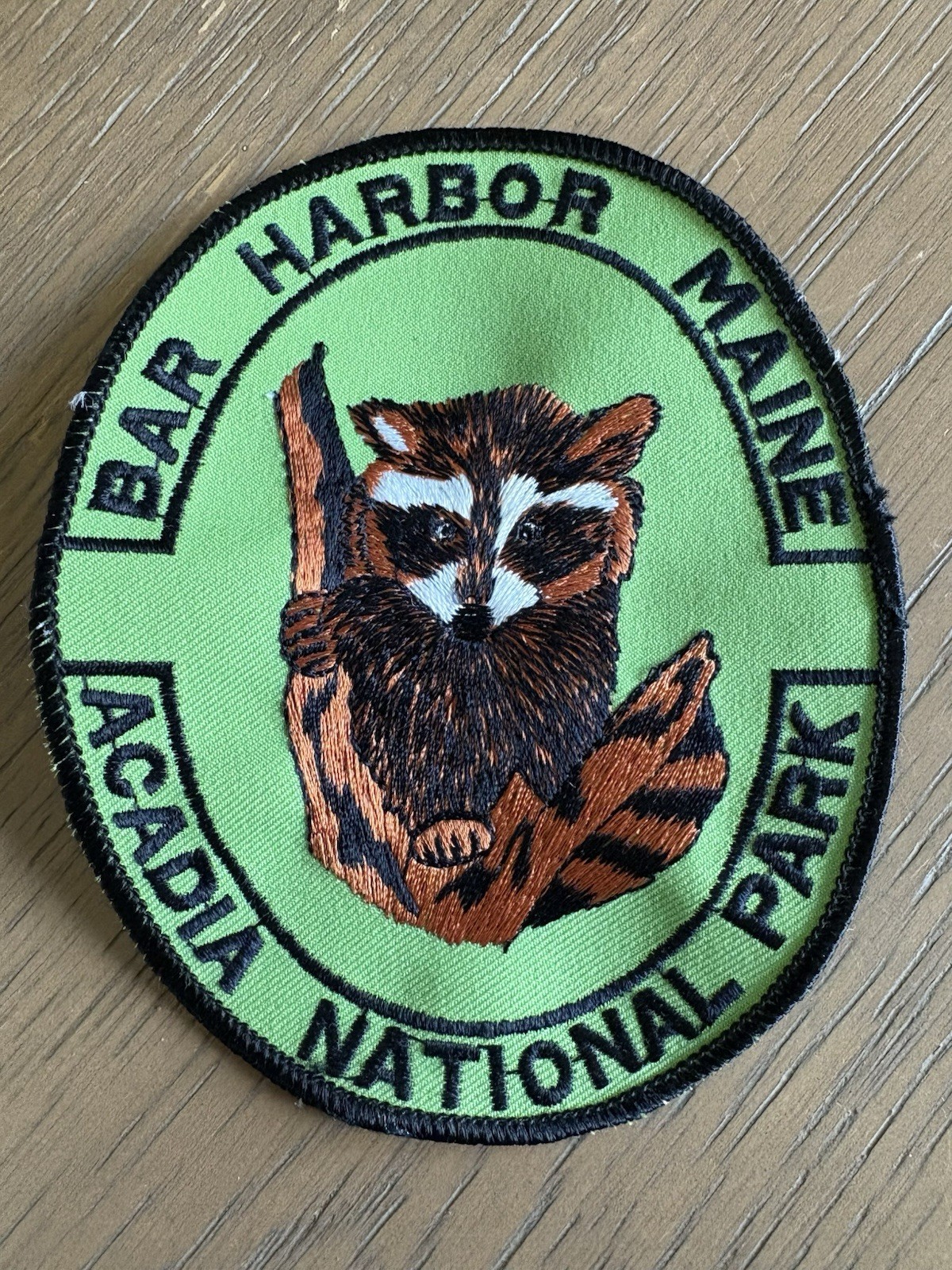 Bar Harbor Maine Acadia National Park Raccoon Patch Green 5×4”