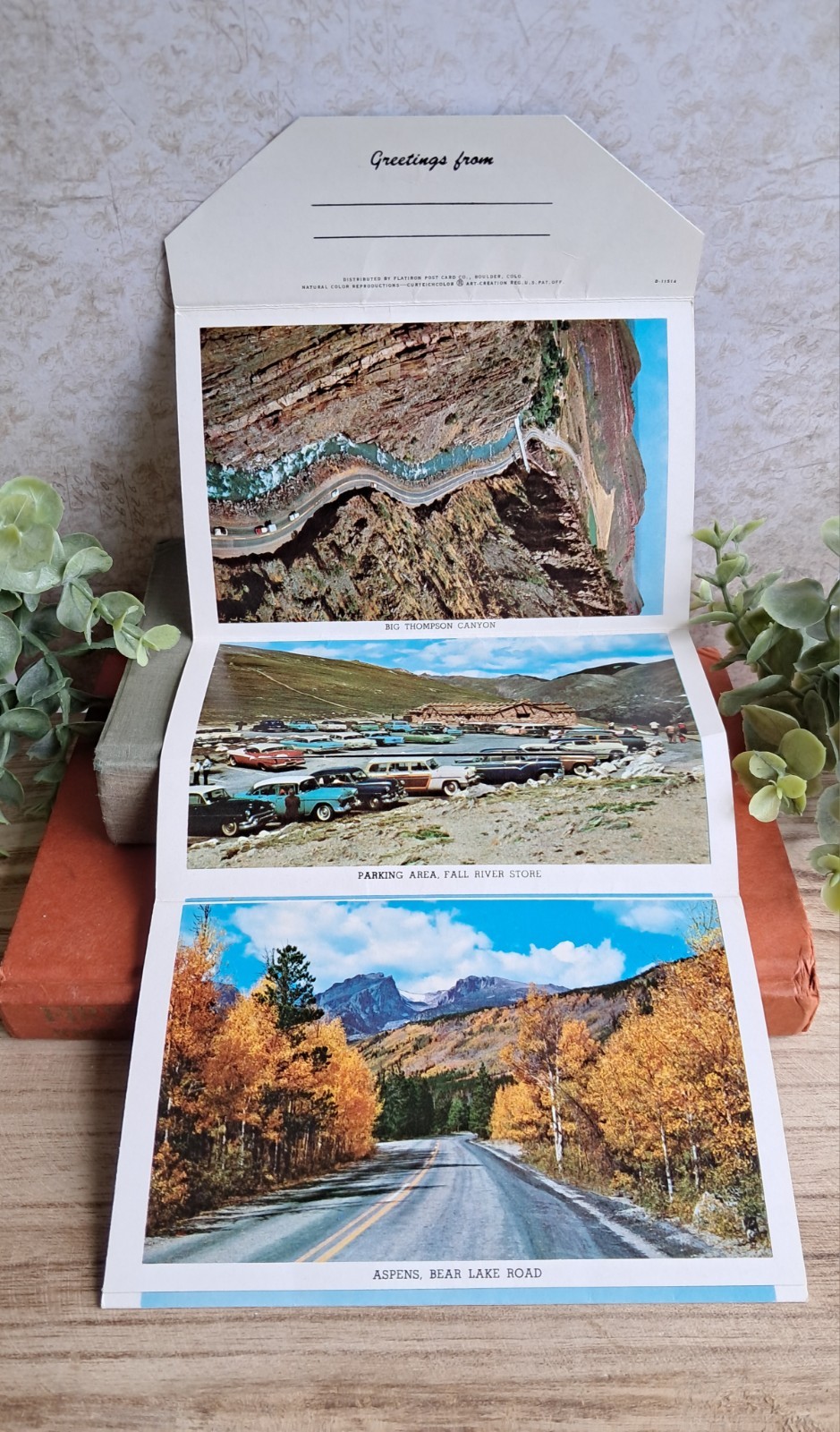 Rocky Mountain National Park 14-View Fold-Out Postcard Folder, 1957