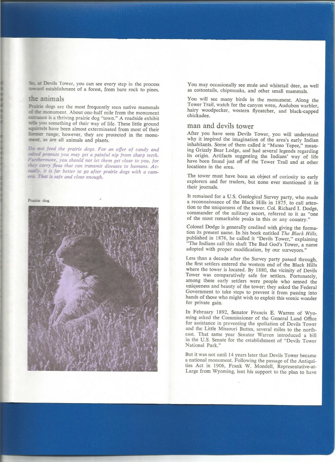 NATIONAL PARK SERVICE DEVILS TOWER WY BROCHURE/FLYER WITH PRAIRIE DOG 1975