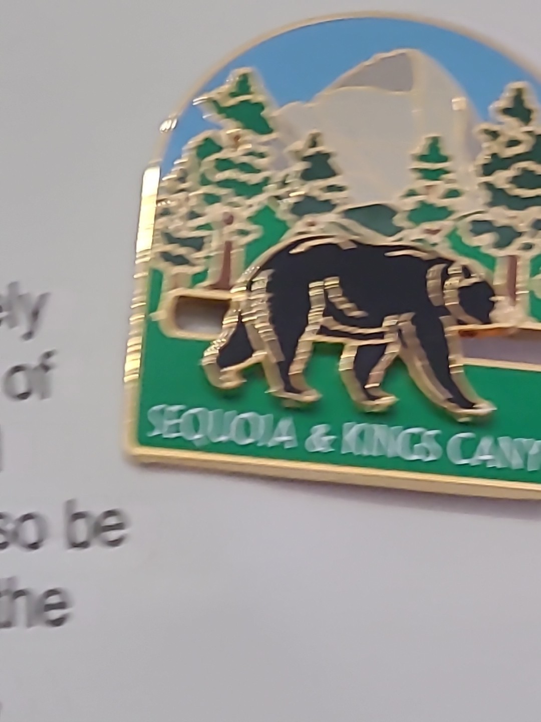 Black Bear On Slider Lapel Pin Sequoia Kings Canyon California Park Souvenir