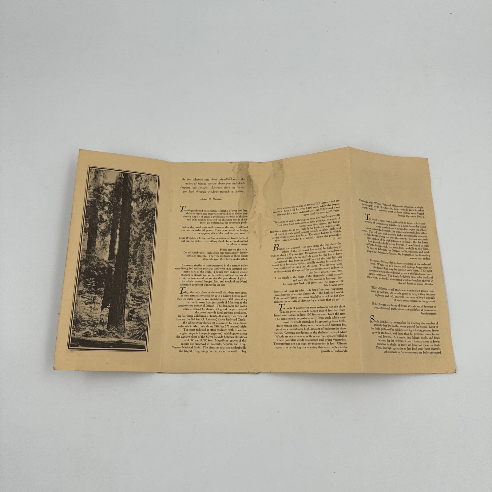 Vintage 1966 National Park Brocures Yosemite Sequoia Kings Canyon Muir Woods