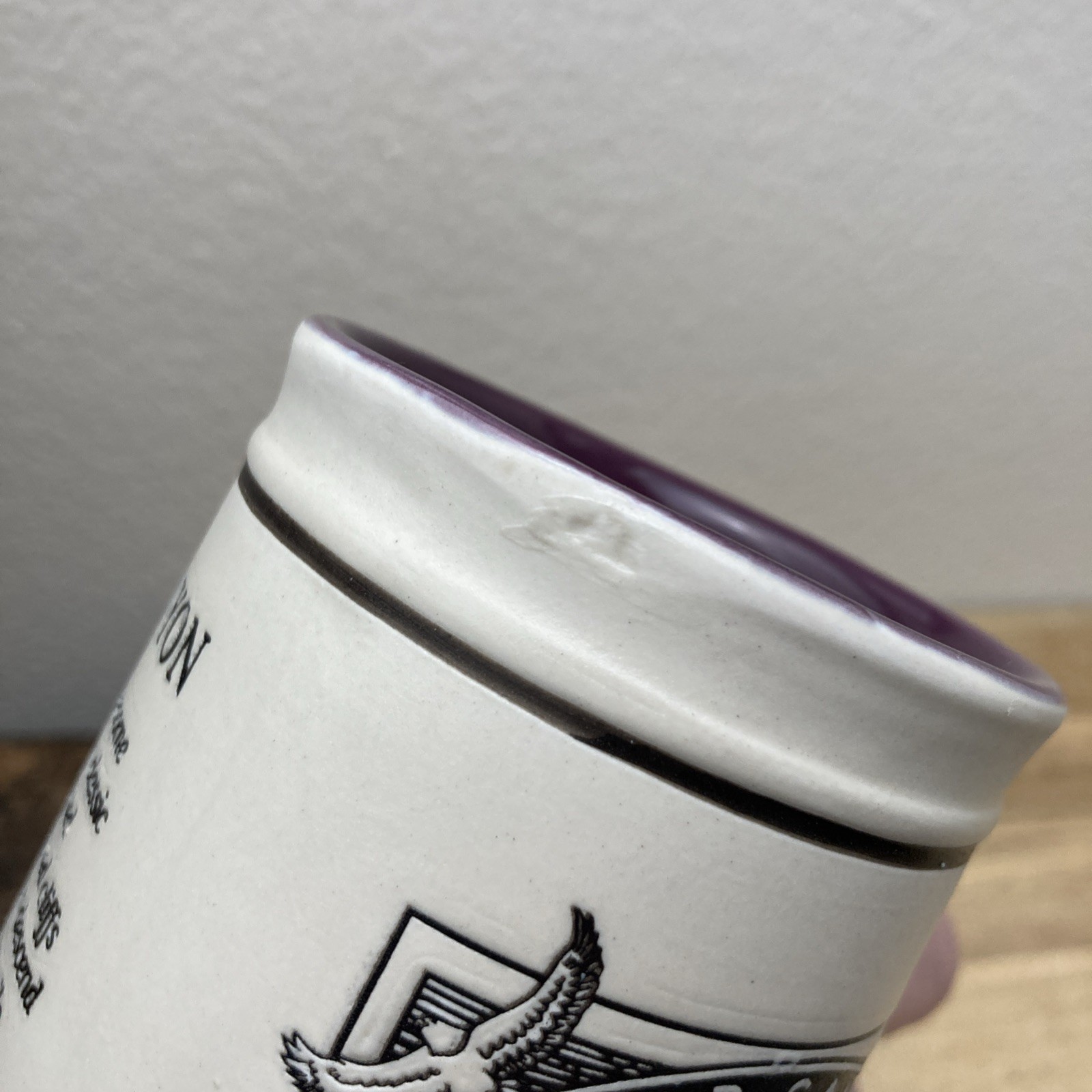 Grand Canyon National Park USA Embossed Beer Stein Coffee Mug Purple Interior 5″
