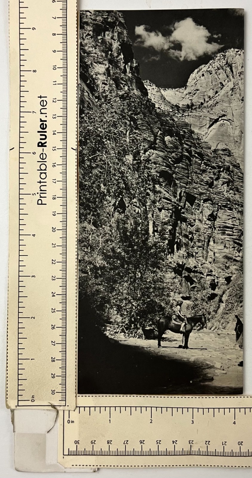1961 Zion National Park Utah Mid-Century Info Guide Map Vintage Travel Booklet