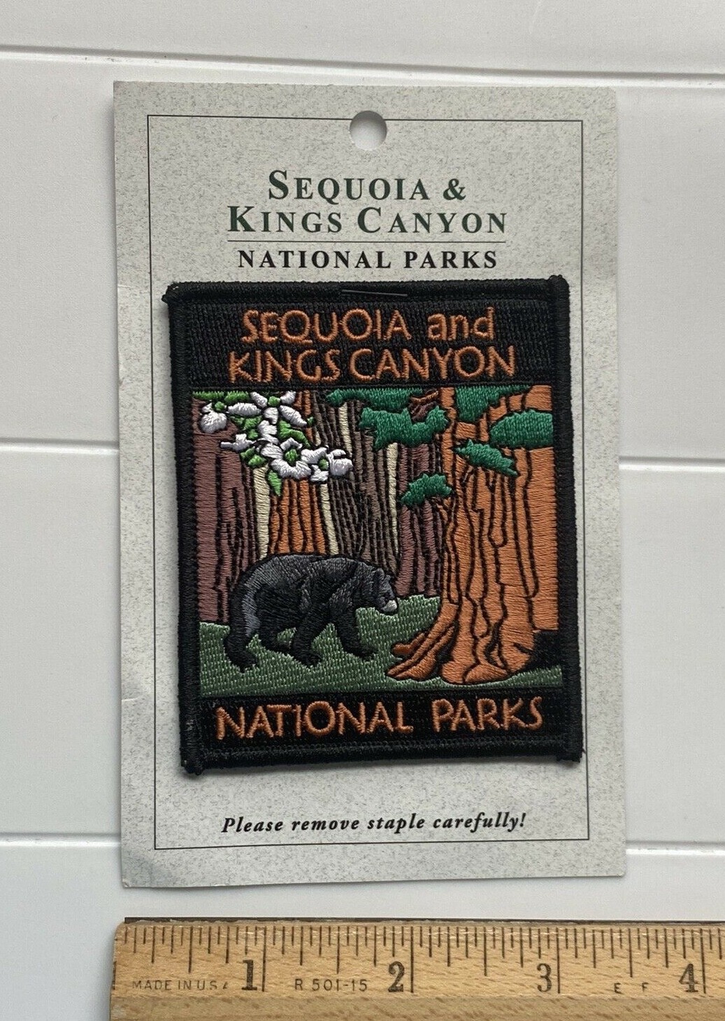 NIP Sequoia and Kings Canyon National Parks Dogwood Flowers Black Bear Patch