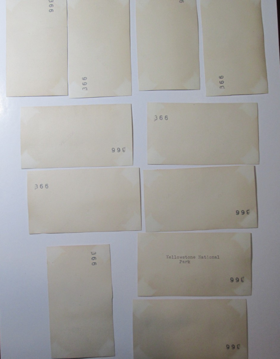 Vintage 1946 Original Wyoming Yellowstone Park Photos Lot Geysers Grizzly Bear